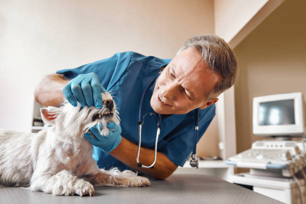  Oakland, OK Emergency Dentist Pros
